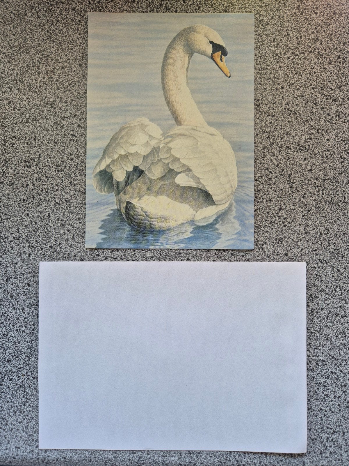 Ansichtkaart Zwaan - Elegante Watervogel, Ophalen of Verzenden, 1980 tot heden, Ongelopen