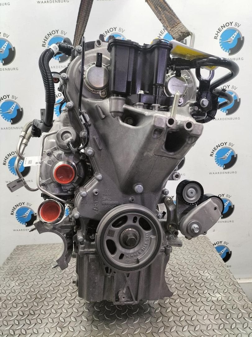 FORD FOCUS ACTIVE ACTIVE MHEV  MOTOR 2023, Ophalen of Verzenden, Gebruikt, Stiba lid