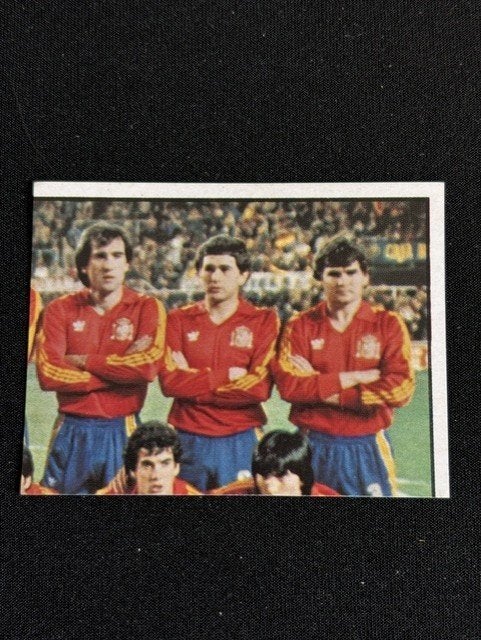 Panini Euro 84 nr. 208, Verzenden, Nieuw, Buitenlandse clubs, Poster, Plaatje of Sticker