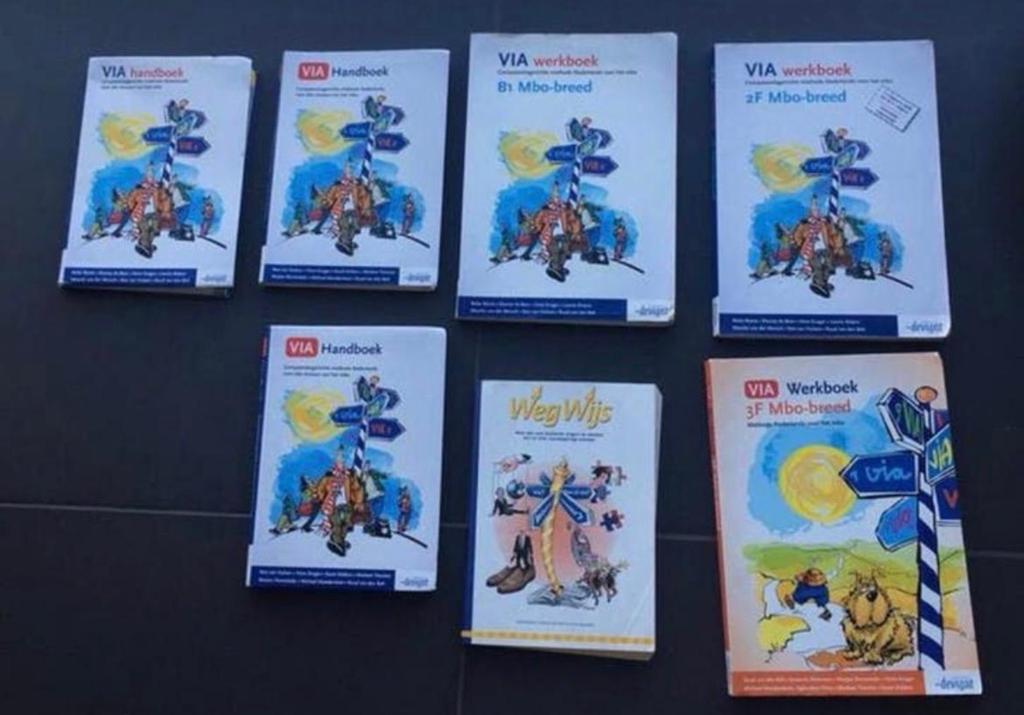 Diverse schoolboeken en werkboeken voor MBO en VMBO, Ophalen of Verzenden, Gelezen, VMBO, Nederlands