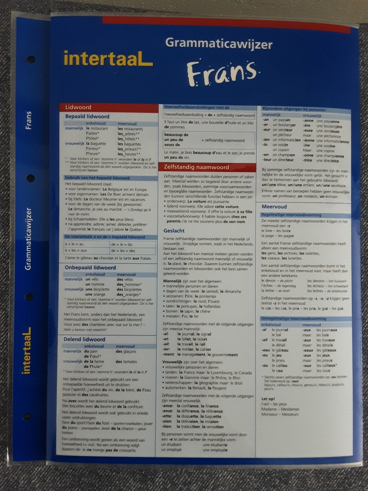 Grammaticawijzer Frans - Intertaal, Boeken, Ophalen of Verzenden, Zo goed als nieuw