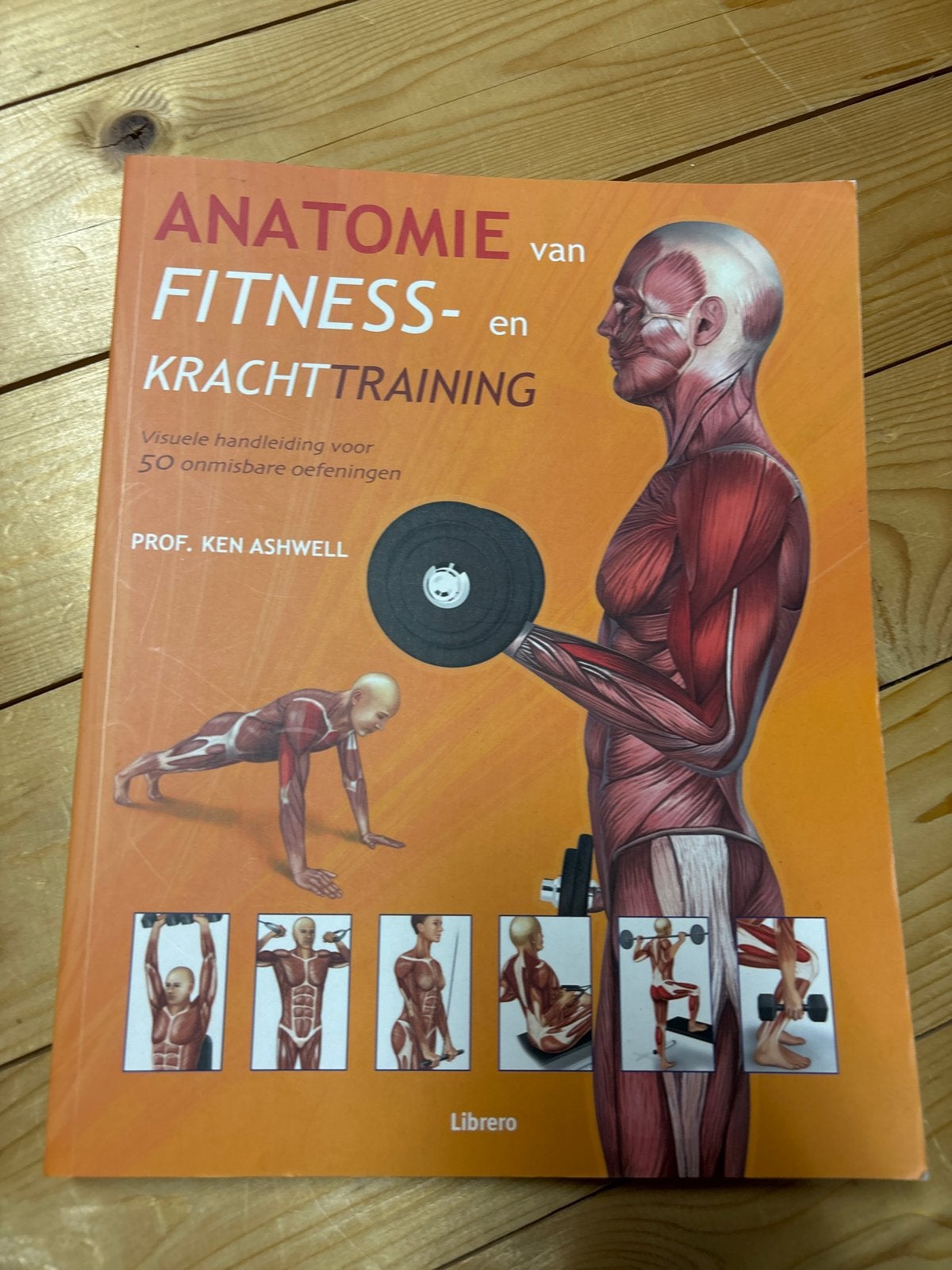 Anatomie van Fitness- en Krachttraining - Ken Ashwell, Ophalen of Verzenden, Zo goed als nieuw, Gezondheid en Conditie