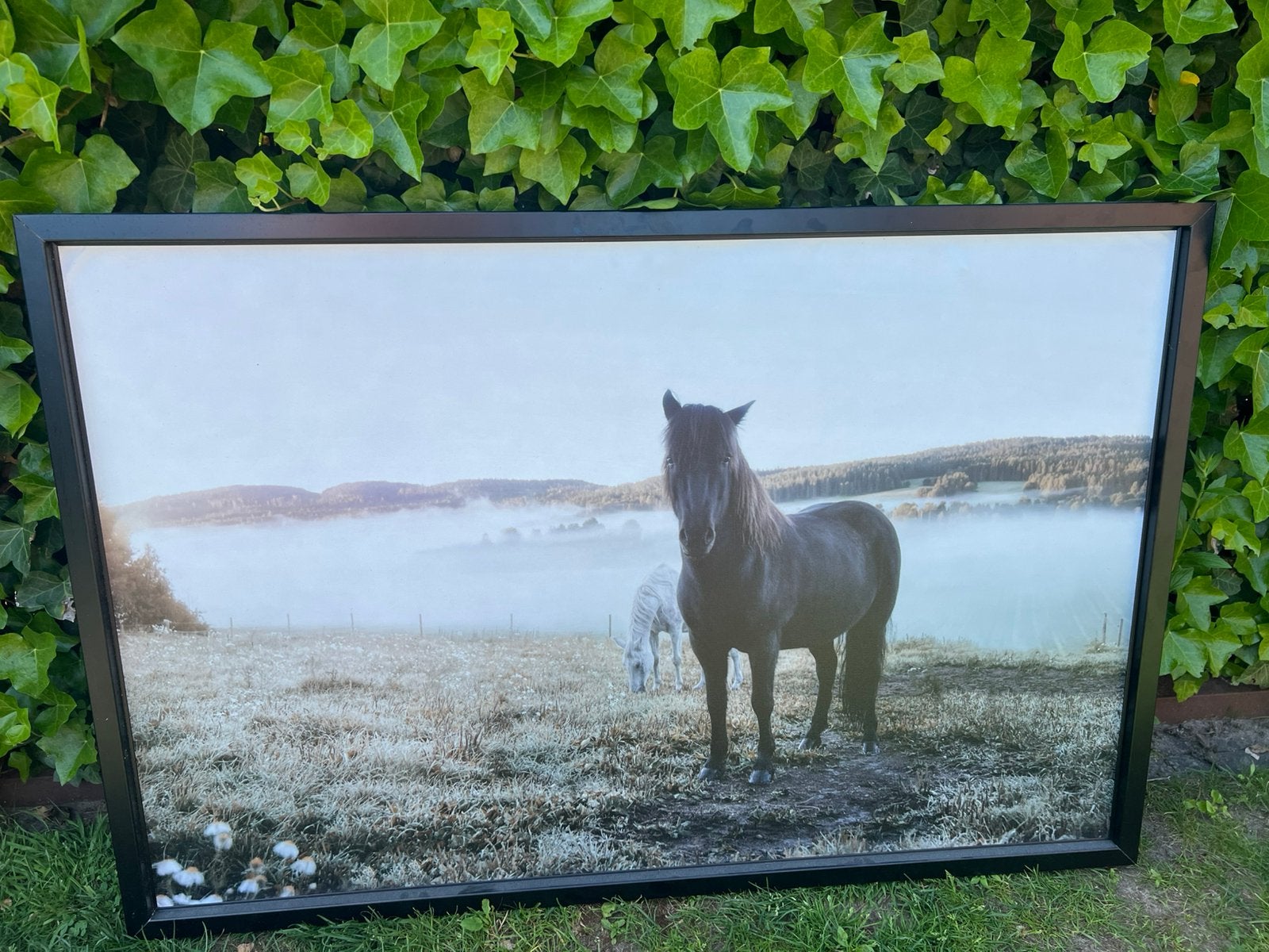 Canvas schilderij, Ophalen, Zo goed als nieuw