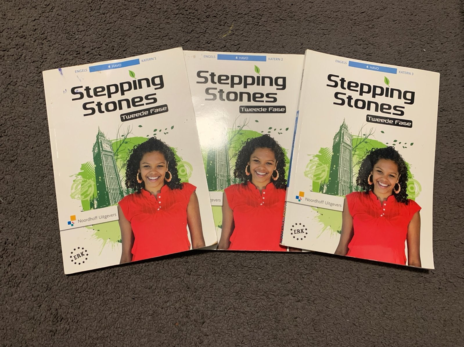 Stepping Stones Engels 4 HAVO Tweede Fase Katern 1, 2, 3, Ophalen of Verzenden, Alpha, Gelezen
