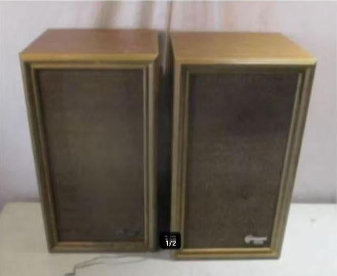 2 Retro Houten Luidsprekers - Dynamic Pearl, Audio, Tv en Foto, Luidsprekers, Overige merken, Gebruikt, Ophalen of Verzenden, Minder dan 60 watt