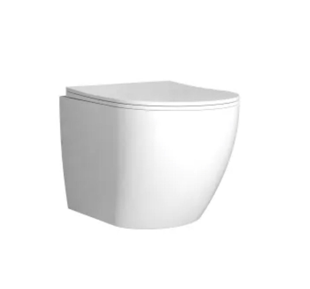 Nieuw Serel Wandhangend Toilet met Verborgen Bevestiging, Ophalen of Verzenden, Nieuw, Toilet
