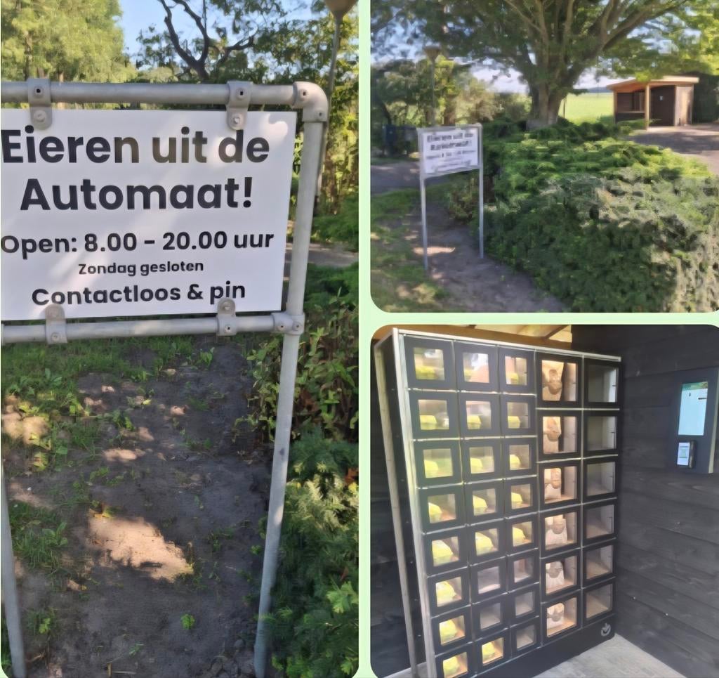 Eierautomaat met eieren, aardappels , uien en sap., Ophalen