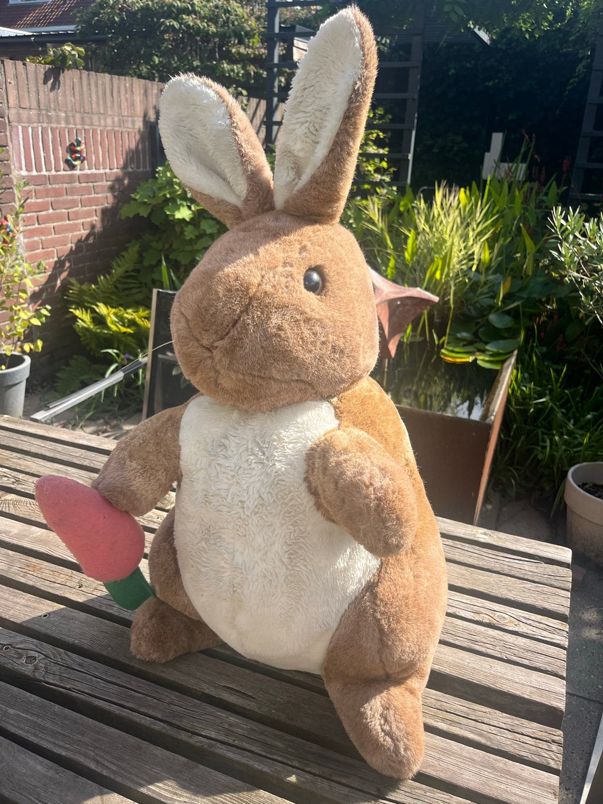 Grote Peter Rabbit knuffel met wortel - Eden Toys, Overige merken, Overige karakters, Konijn, Ophalen of Verzenden