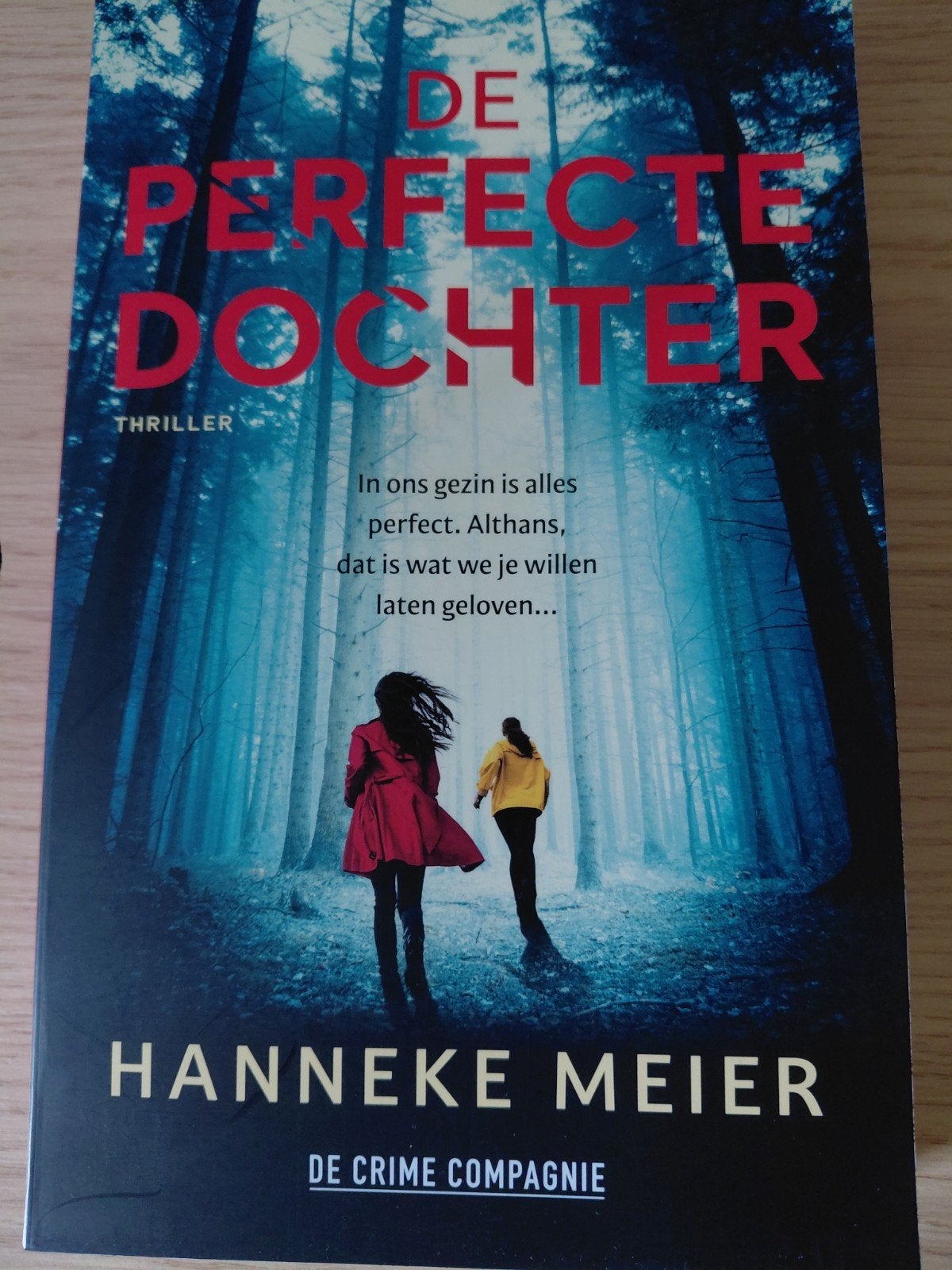 De Perfecte Dochter - Hanneke Meier (Thriller), Ophalen, Gelezen, Hanneke Meier, Nederland