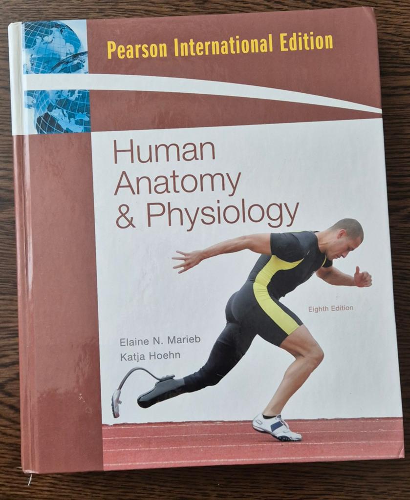 Human Anatomy & Physiology - Pearson International Edition, Gelezen, Elaine N. Marieb, Katja Hoehn, Beta, HBO
