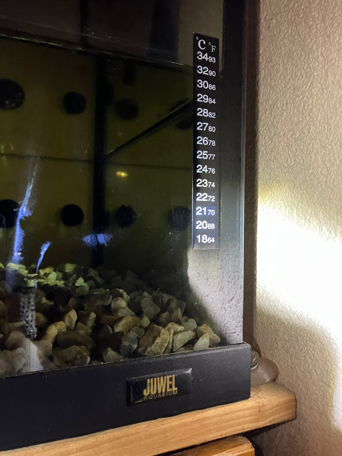 Aquarium Juwel te koop vanaf 17-Oktober, Ophalen, Gebruikt, Leeg aquarium, Juwel