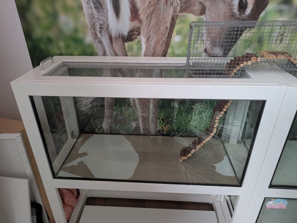 Gerbil- /Hamsterbakken, Gebruikt, Overige typen, Hamster, 75 tot 110 cm