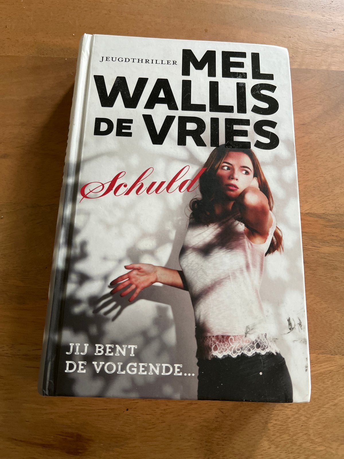 Mel Wallis de Vries - Schuld, Ophalen of Verzenden, Zo goed als nieuw, Mel Wallis de Vries