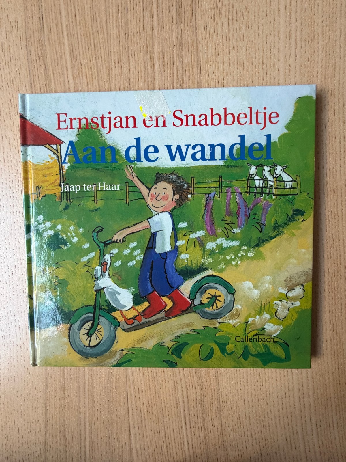 Ernstjan en Snabbeltje: Aan de wandel - Jaap ter Haar, Ophalen of Verzenden, Zo goed als nieuw, Fictie algemeen