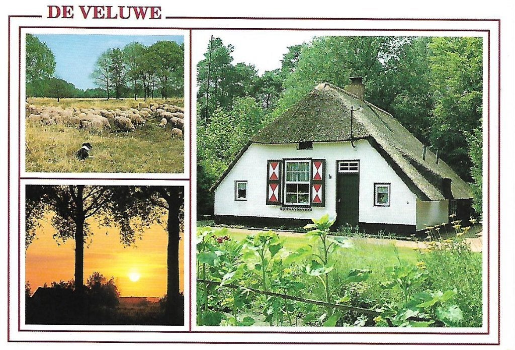 Gelderland- -3-luik., Ophalen of Verzenden, 1980 tot heden, Gelopen, Gelderland