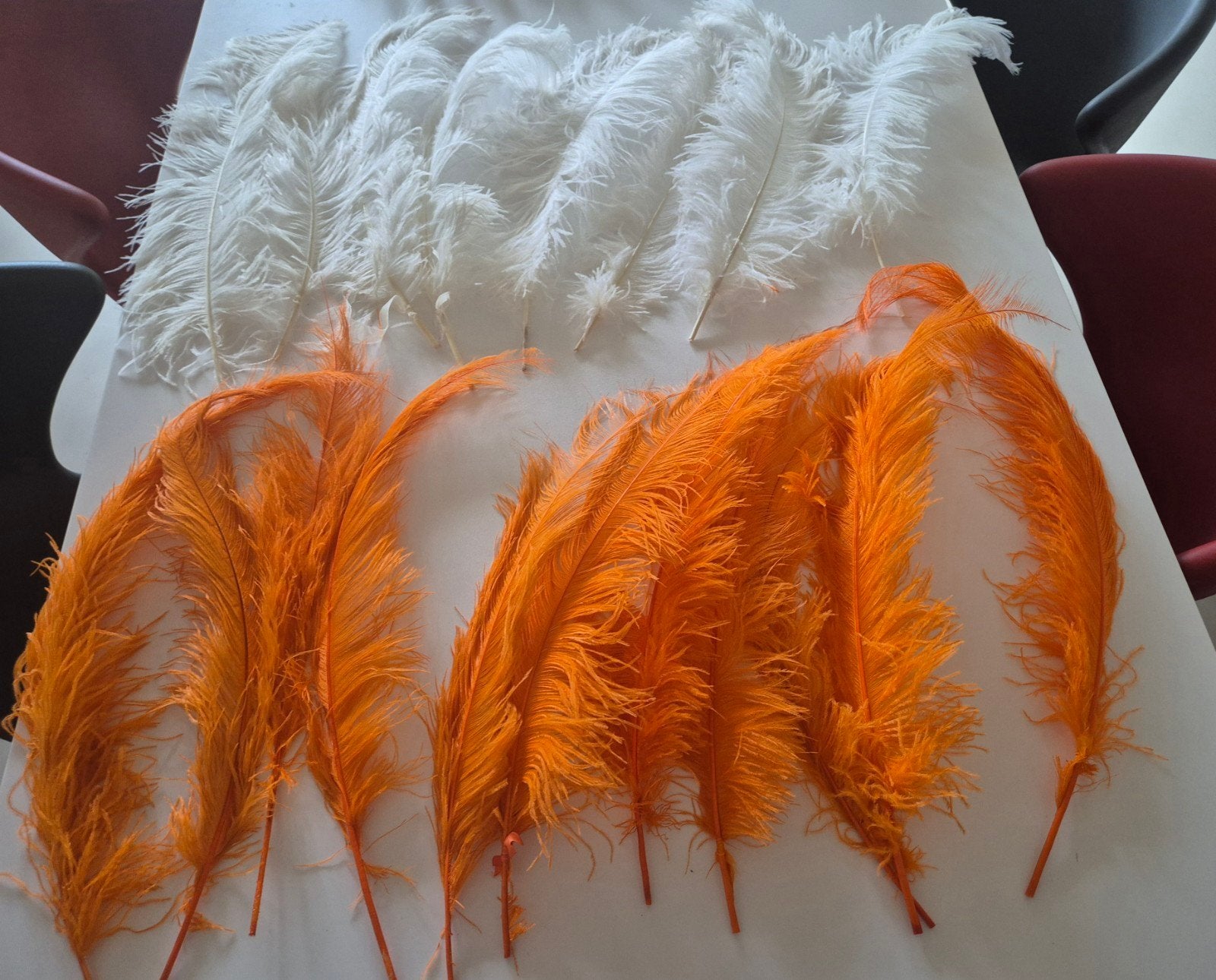 Carnavals- en Feestartikelen in goede en nieuwe staat, Hobby en Vrije tijd, Feestartikelen, Ophalen, Zo goed als nieuw, Carnaval