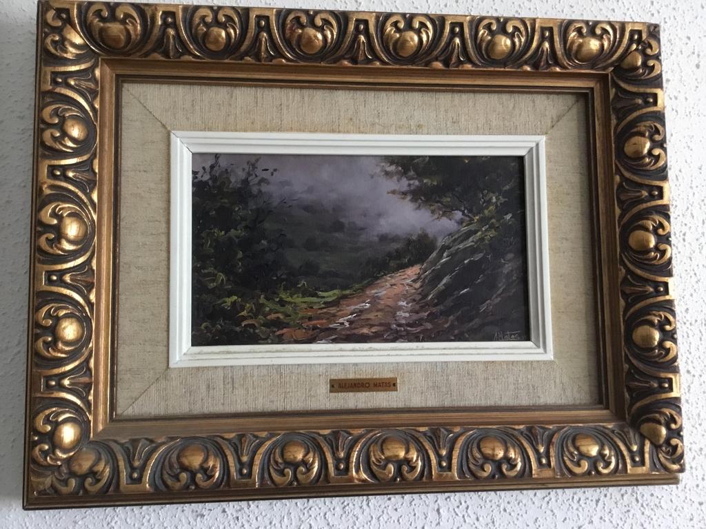 Schilderij op doek met mooie lijst, Ophalen