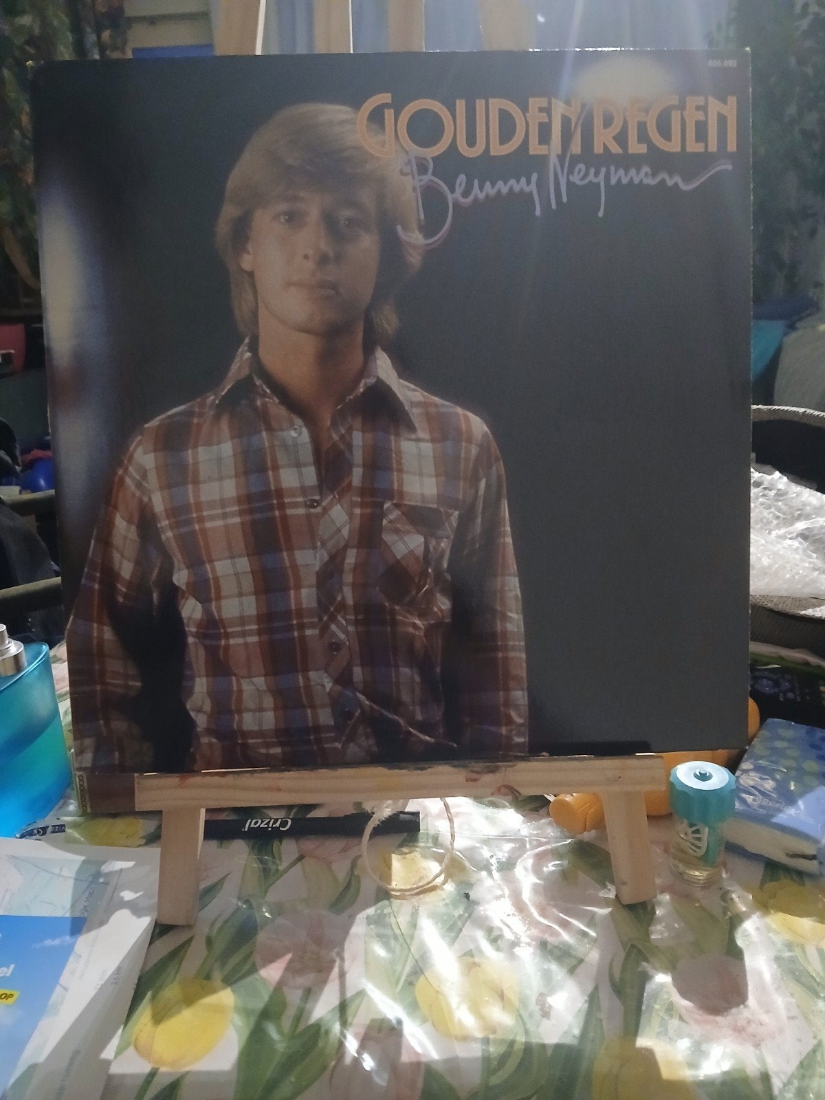 Benny Neyman - Gouden Regen LP (1980), Ophalen of Verzenden, Gebruikt, 12 inch, LP