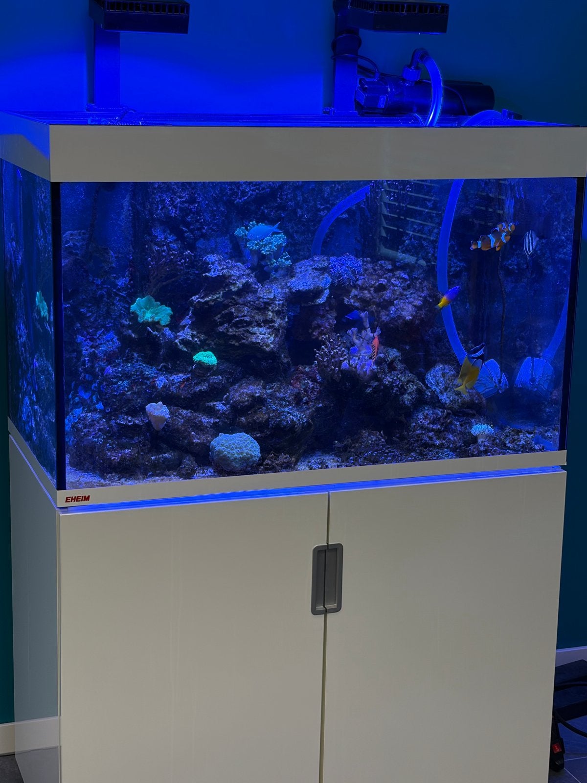 Zee aquarium eheim, Dieren en Toebehoren, Vissen | Aquaria en Toebehoren, Ophalen of Verzenden, Zo goed als nieuw, Leeg aquarium