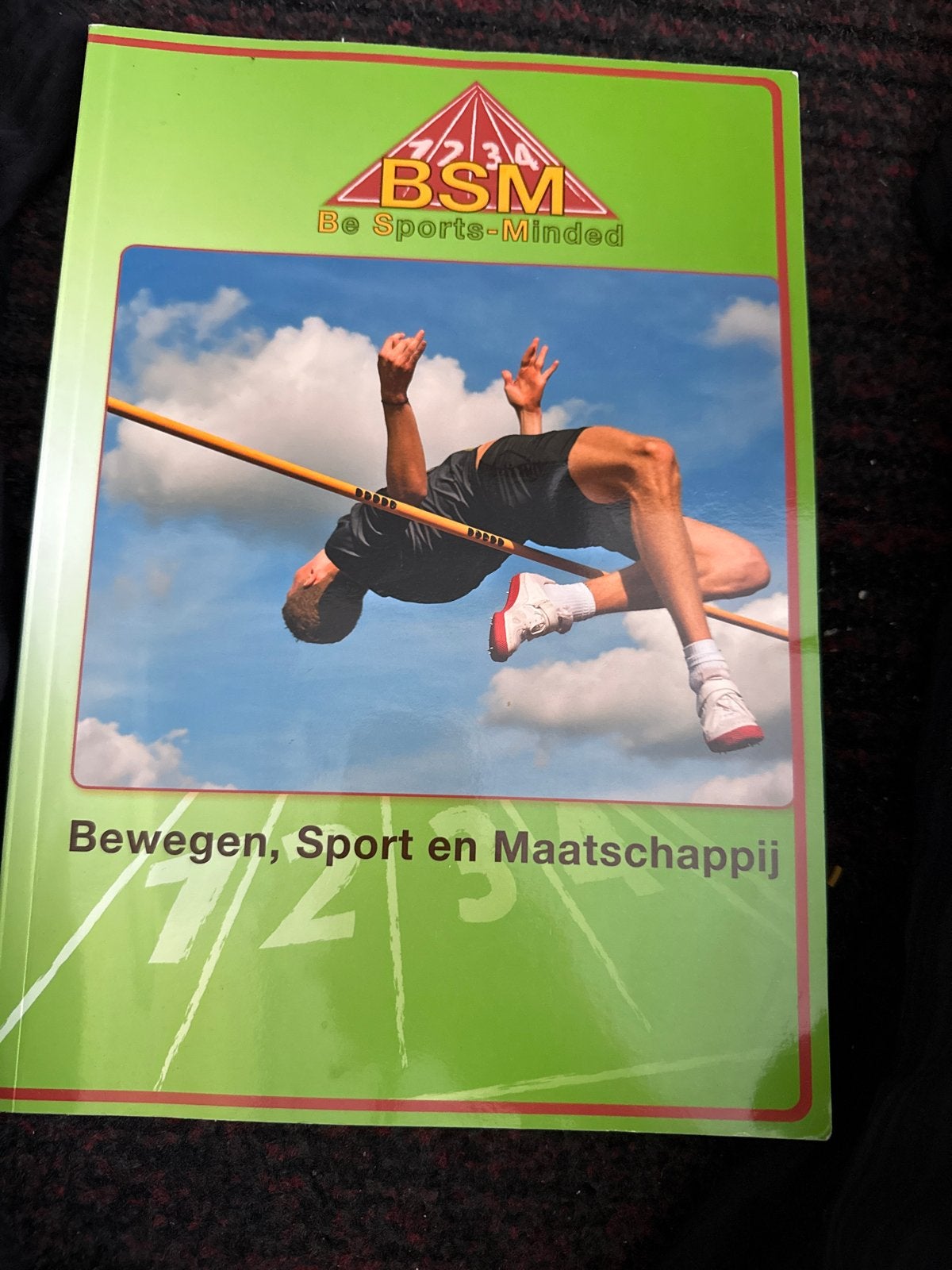BSM: Bewegen, Sport en Maatschappij - Boek, Ophalen of Verzenden, Gamma, Gelezen, HBO