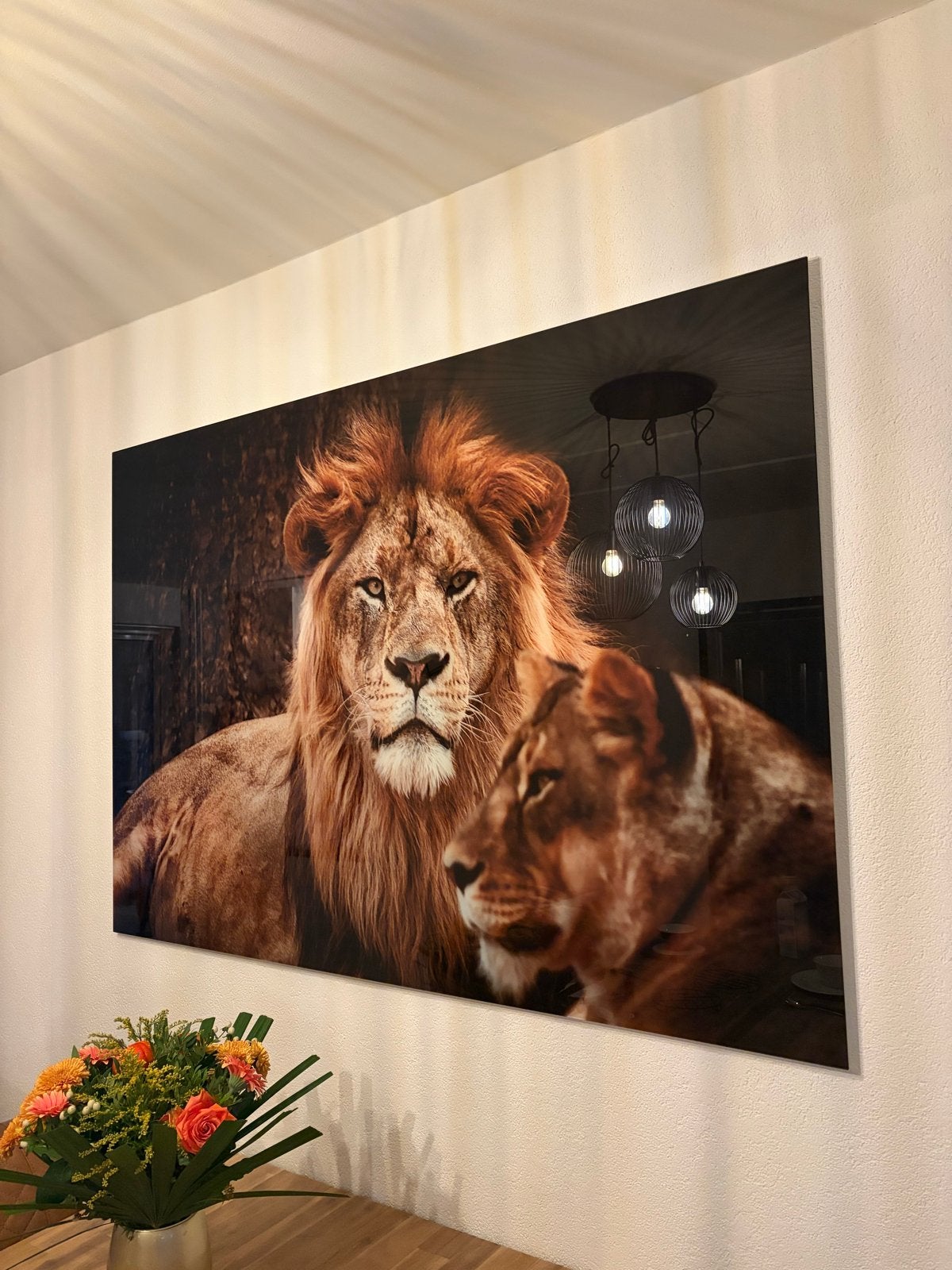 Prachtige Leeuwen Foto op Plexiglas - Groot Formaat, Ophalen, 125 cm of meer, Zo goed als nieuw, Foto of Poster