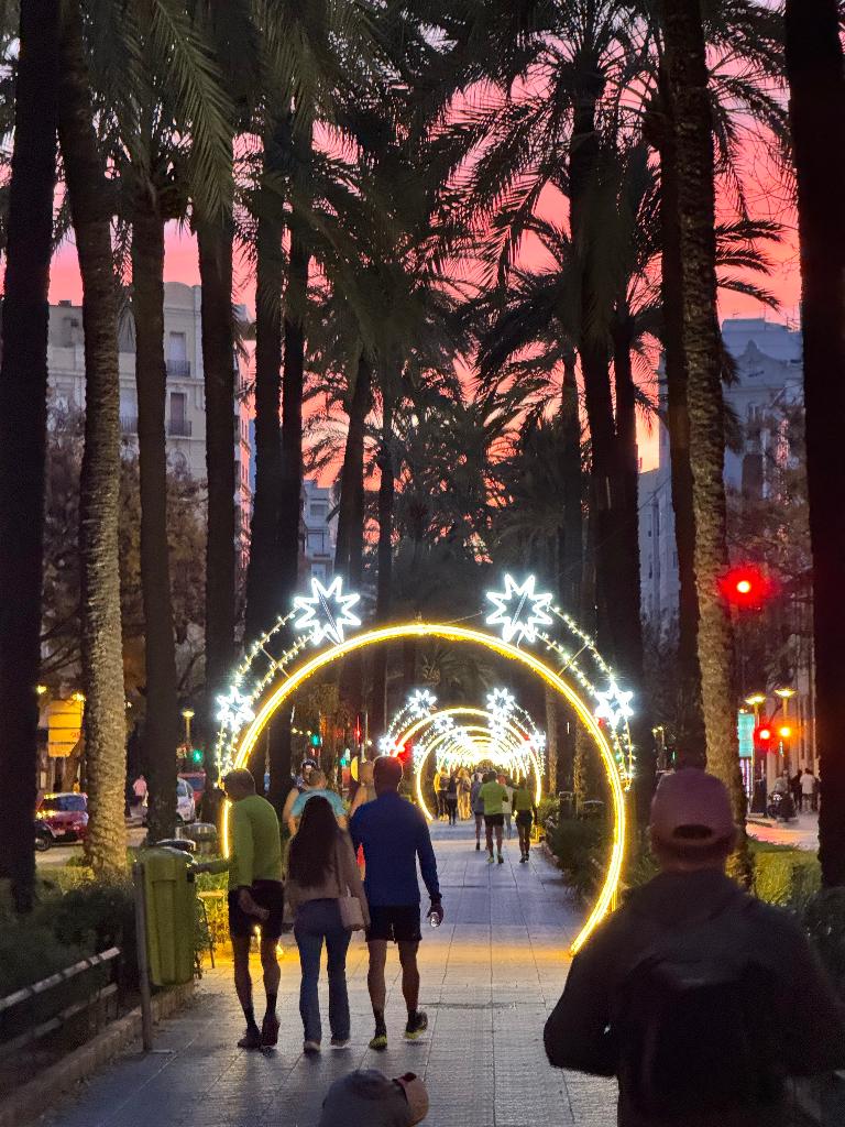 Gezocht: Marathon Valencia 6-12-2026 Ticket, Tickets en Kaartjes, Sport | Overige, Eén persoon, December