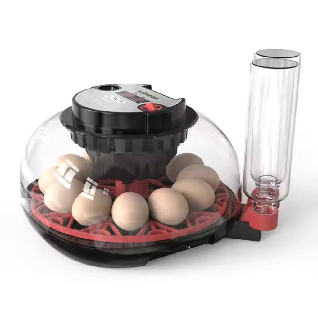 WonEGG Broedmachine M12H (12 eieren), Info@kippenleven.nl, 8624TX, Uitwellingerga, Nieuw, Kippenleven