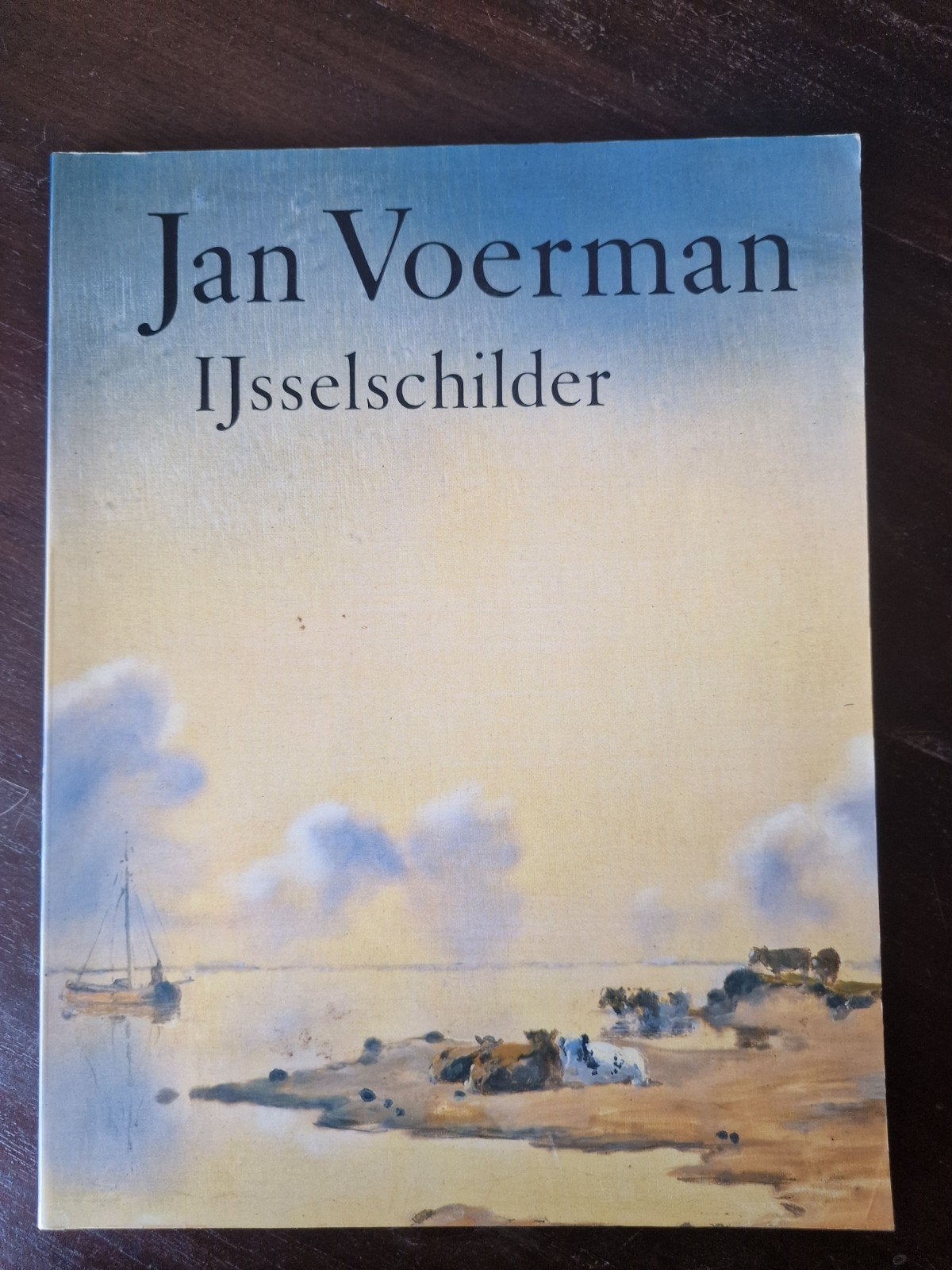 Jan Voerman IJsselschilder - Kunstboek, Ophalen of Verzenden, Gelezen, Schilder- en Tekenkunst, Anna Wagner