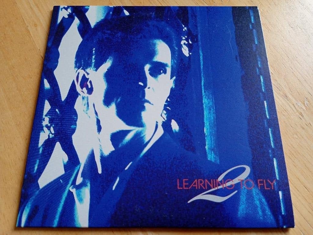 CD Iain Matthews - Learning To Fly, Verzenden, Zo goed als nieuw, Poprock