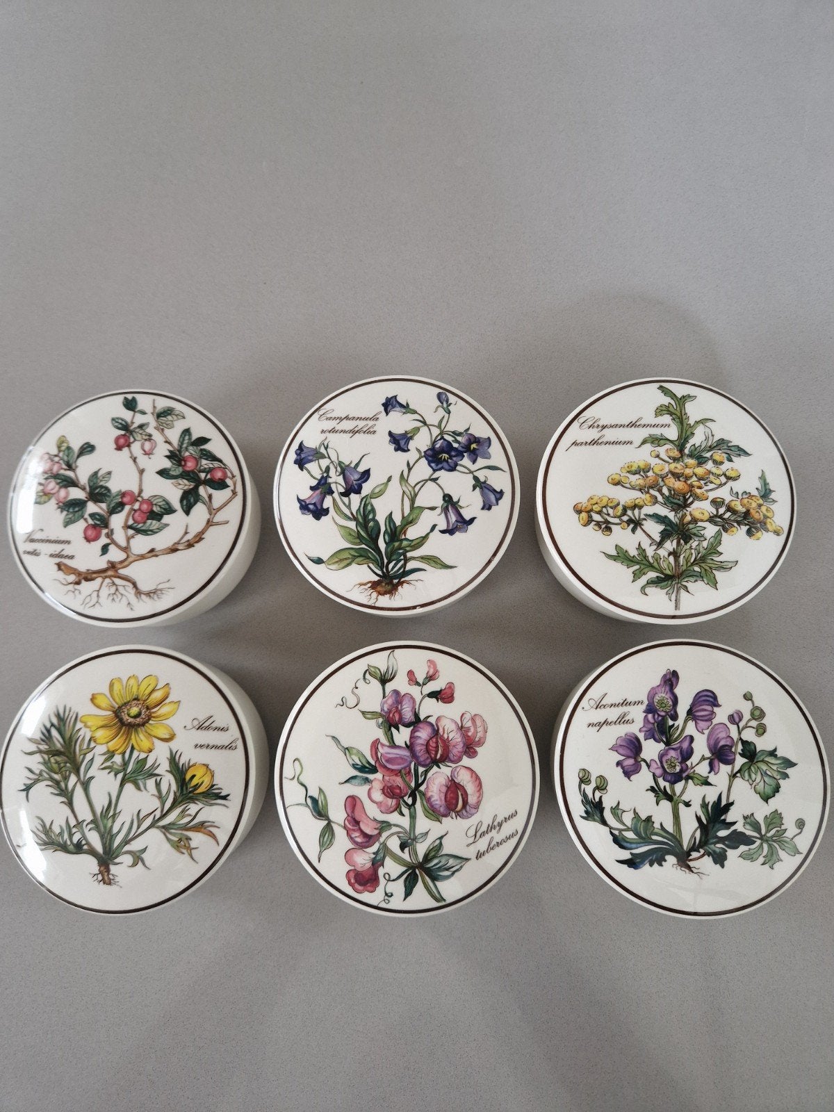 6 dekseldoosjes Villeroy en Boch Botanica, Huis en Inrichting, Ophalen of Verzenden, Zo goed als nieuw, Bord(en), Overige stijlen