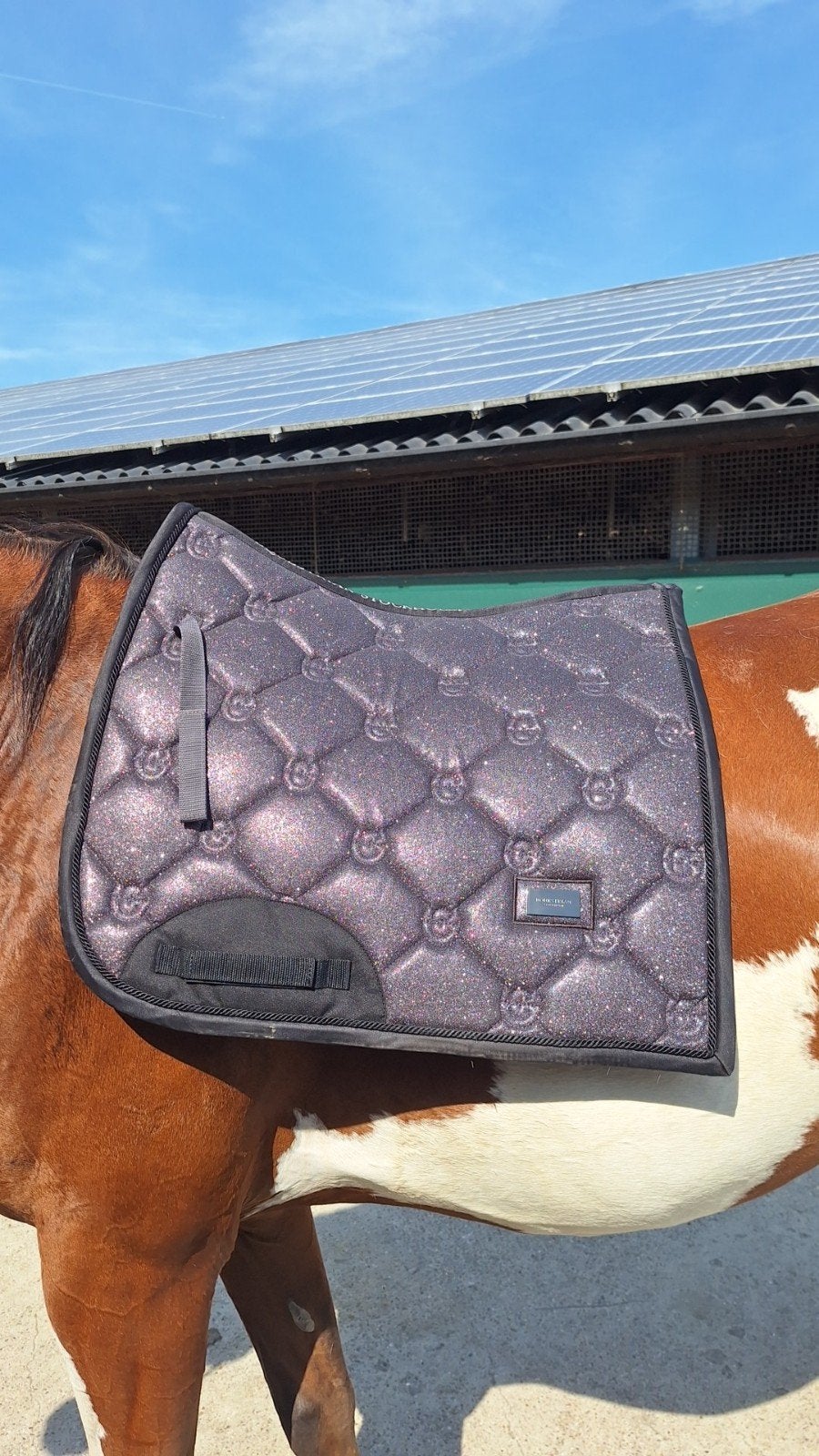 Equestrian Stockholm Purple Glimmer, Full (L), Dressuurdekje, Equestrian Stockholm, Ophalen of Verzenden