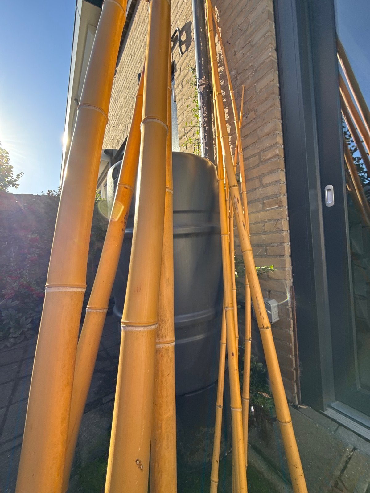 Bamboestokken tot 6,5 meter hoog, Ophalen, Gebruikt