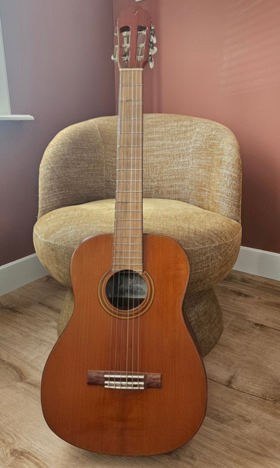 Valencia Custom CG301 Klassieke Gitaar, Muziek en Instrumenten, Ophalen, Zo goed als nieuw, Klassieke of Spaanse gitaar