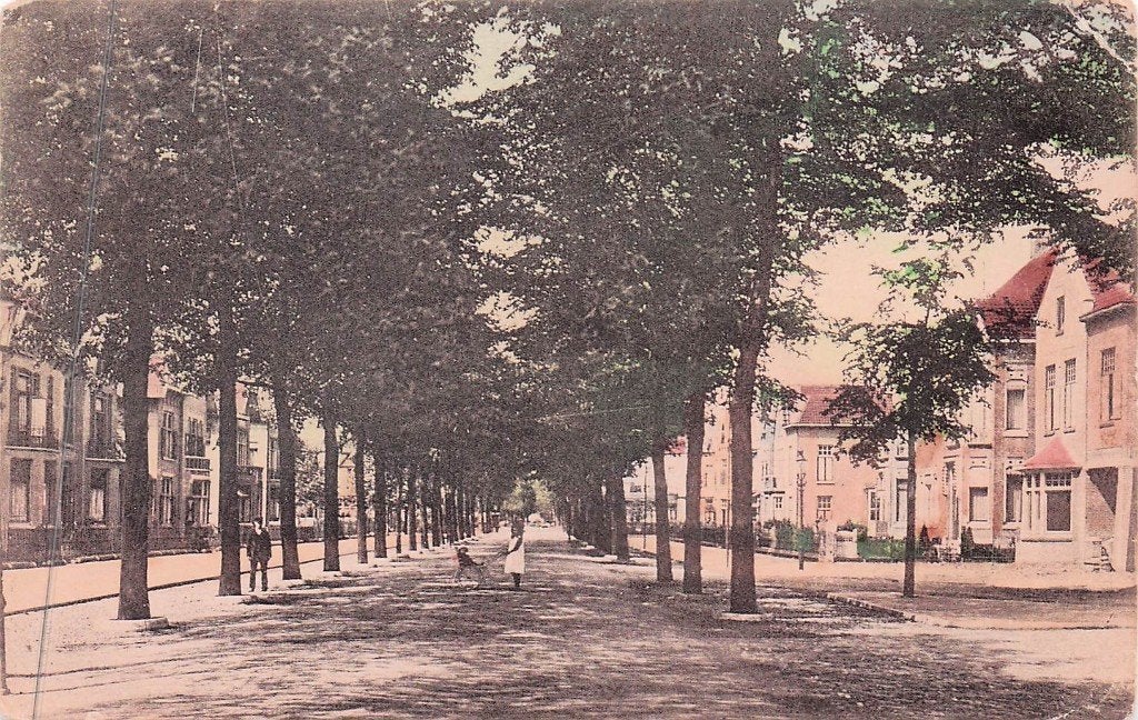 Vlaardingen - Schiedamscheweg Rond 1920, Ophalen of Verzenden, Voor 1920, Gelopen, Zuid-Holland