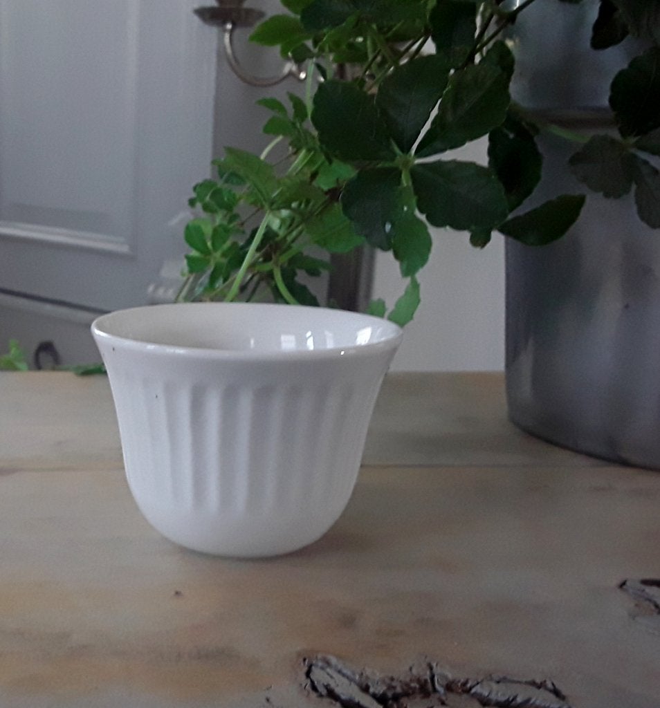 Cactuspotje - nieuw, Tuin en Terras, Bloempotten, Nieuw, Aardewerk, Minder dan 40 cm, Minder dan 25 cm, Rond, Ophalen of Verzenden