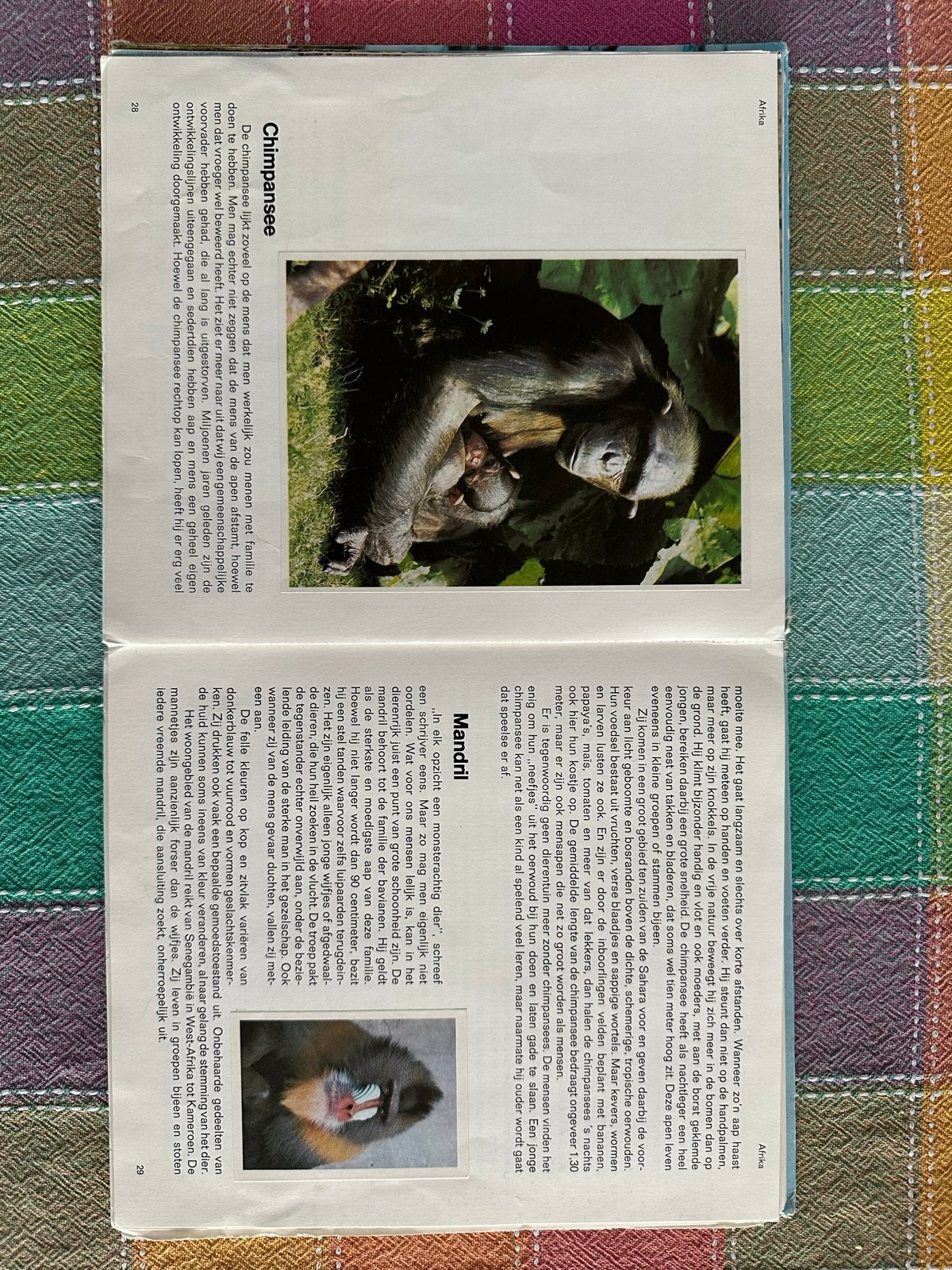 Stickerboek Koningen in het Dierenrijk (Esso), Ophalen of Verzenden, Gelezen, Natuur algemeen