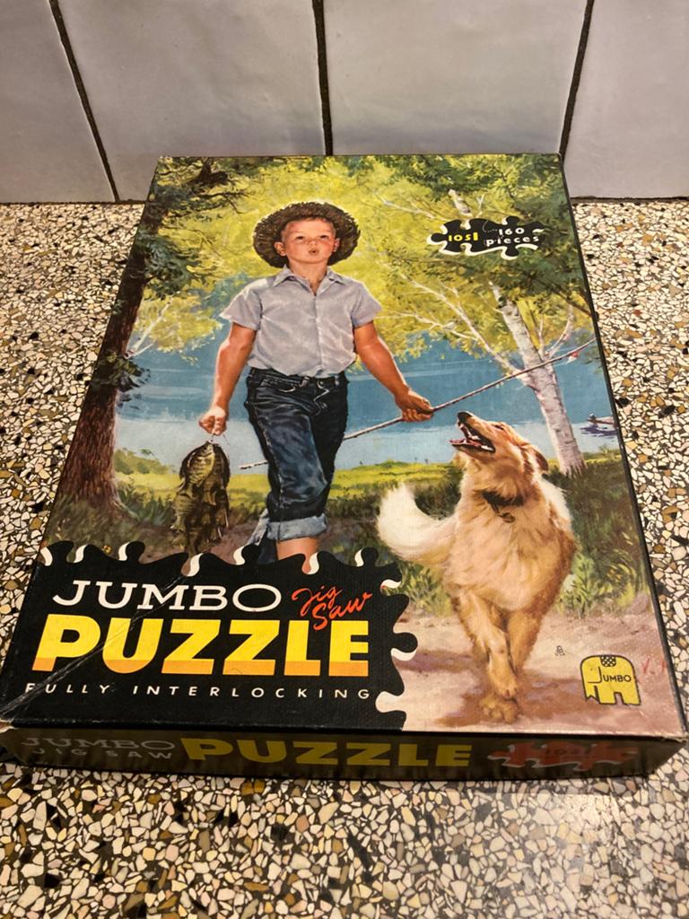 Leuke puzzel Jumbo, Hobby en Vrije tijd, Denksport en Puzzels, Ophalen of Verzenden, Minder dan 500 stukjes, Zo goed als nieuw