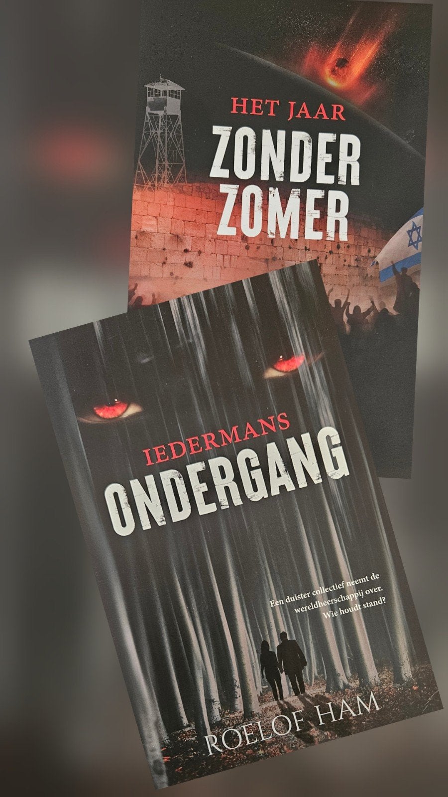 Roelof Ham 2dlge serie, Ophalen of Verzenden, Zo goed als nieuw