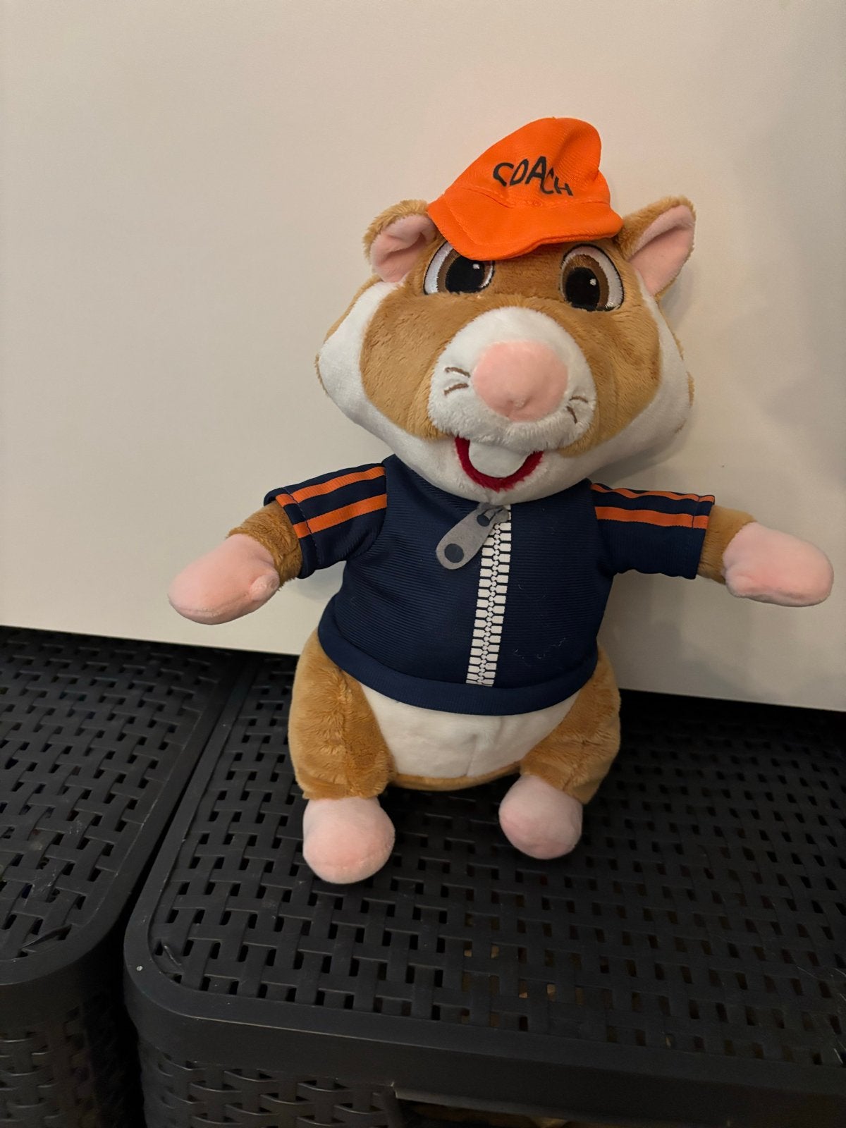 Albert Heijn Hamster Coach Knuffel oranje pet 28 cm!, Hamster, Ophalen of Verzenden, Zo goed als nieuw, Middelgroot (20 tot 80 cm)