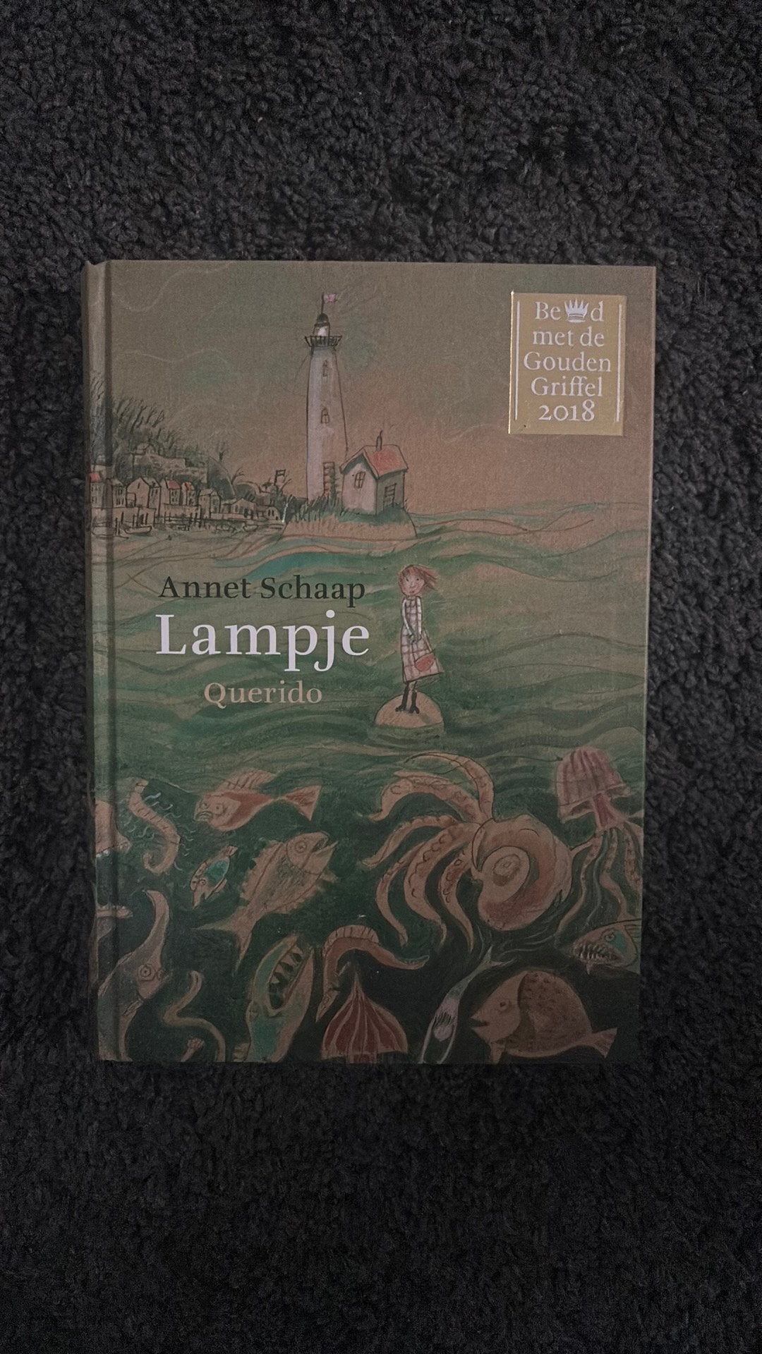 Annet Schaap - Lampje, Ophalen of Verzenden, Zo goed als nieuw, Annet Schaap