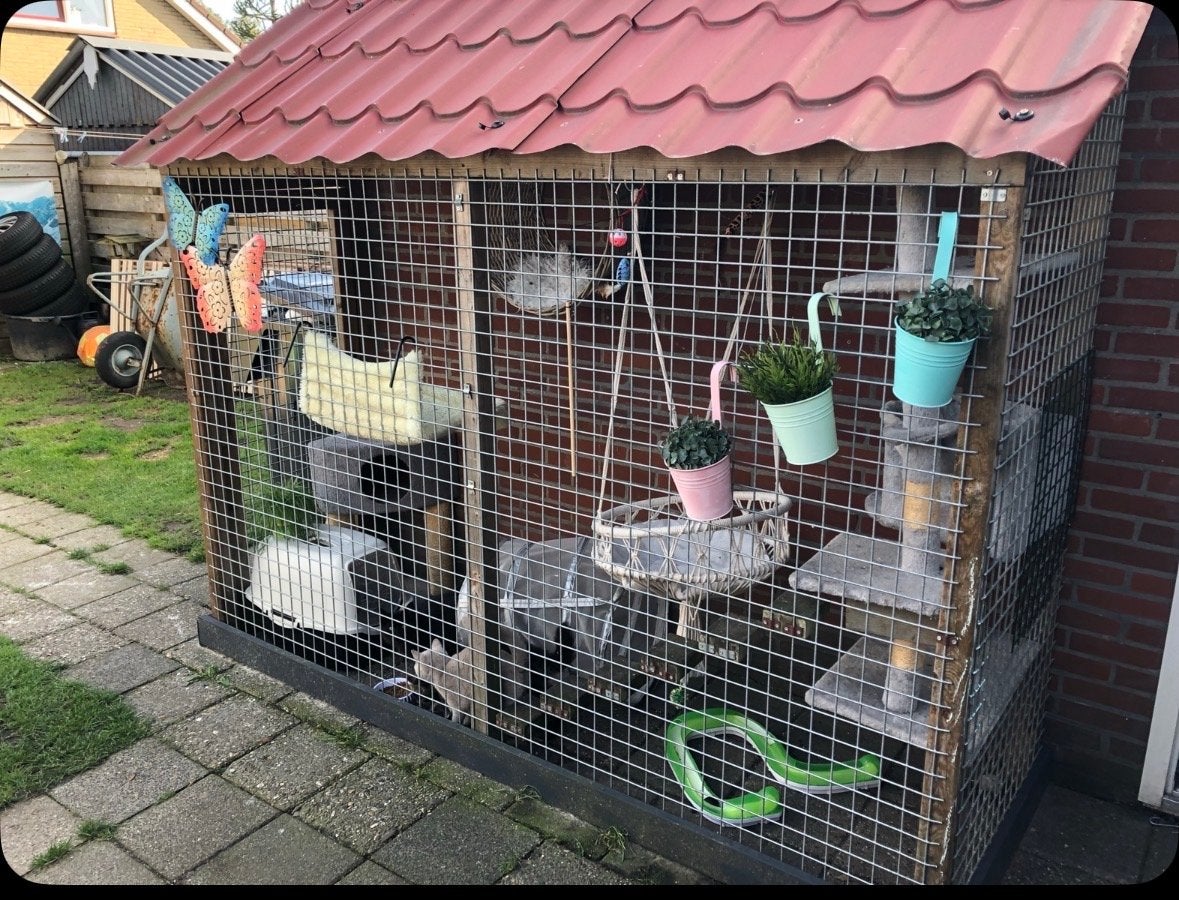 Mooie ruime kattenren met deur en afdak, Ophalen, Gebruikt, Metaal, Overige typen
