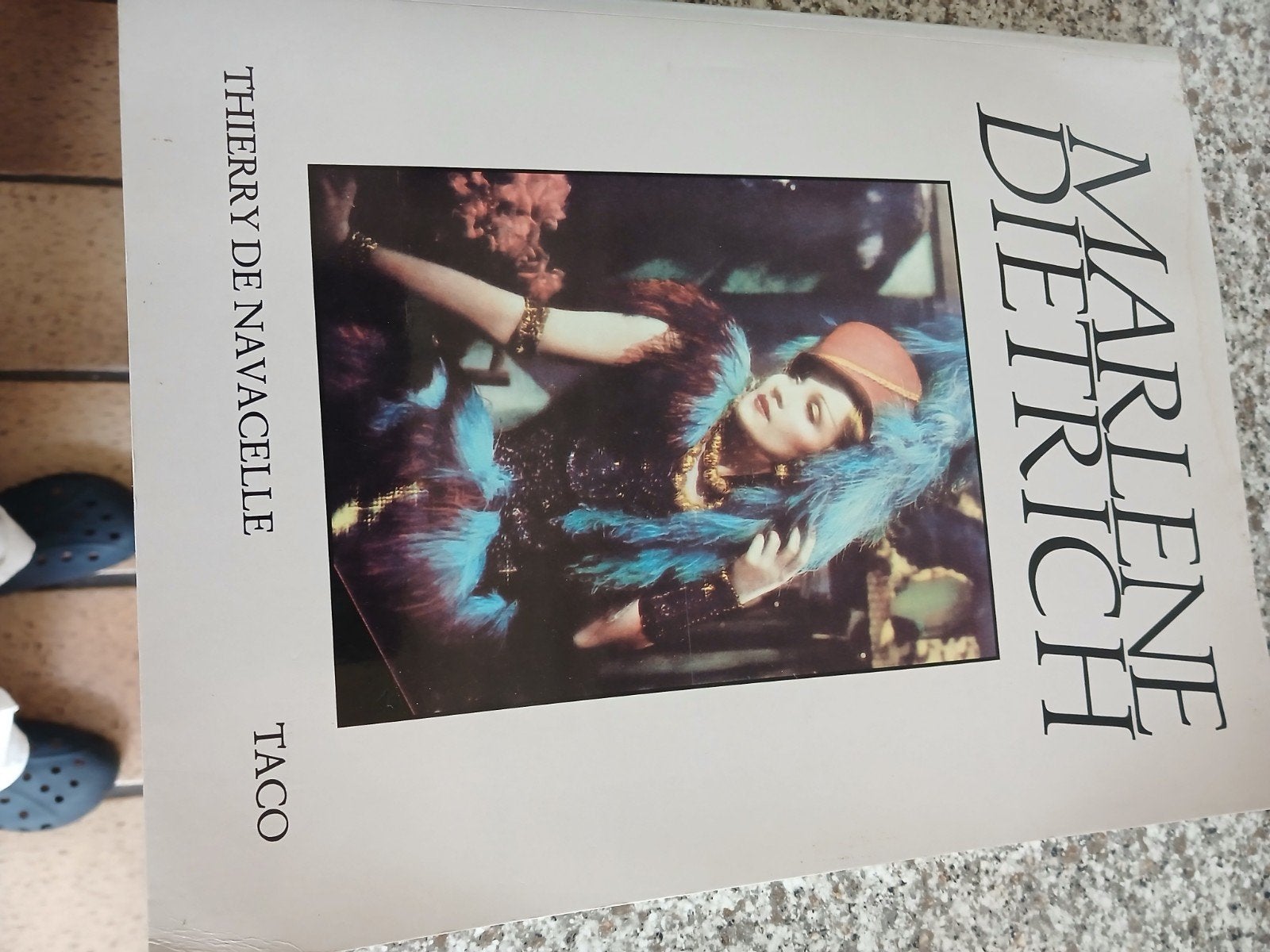 Marlene Dietrich boek., Ophalen of Verzenden, Zo goed als nieuw, Boek, Tijdschrift of Artikel