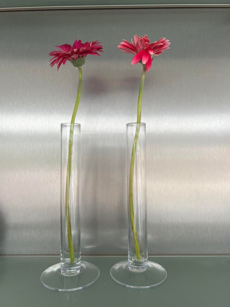 Glazen cilindervazen, Overige kleuren, Ophalen of Verzenden, Minder dan 50 cm, Glas