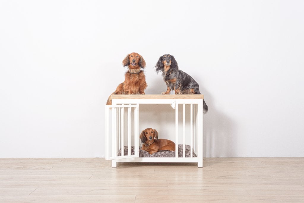 Stalen Hondenbench Wit Maat S Bench voor Kleine Honden, Ophalen, Nieuw