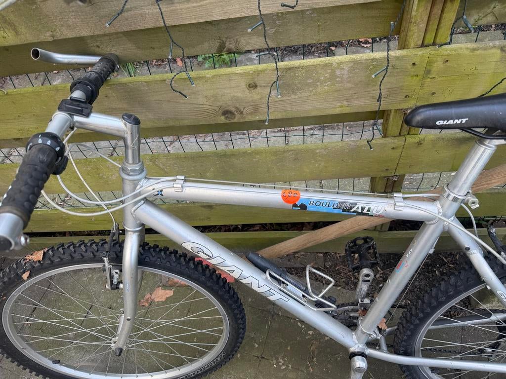 Giant Boulder ALU Mountainbike - Zilver, Ophalen, Gebruikt, Heren, 49 tot 53 cm