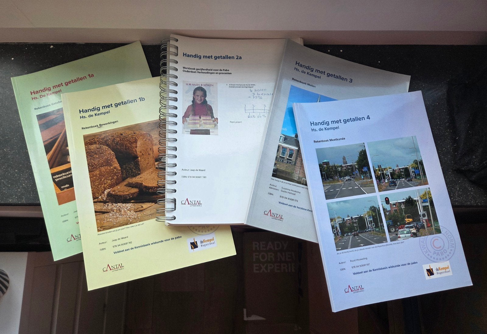 Diverse wiskinde/rekenen studieboeken, Ophalen of Verzenden, Zo goed als nieuw, HBO, Jaap de Waard