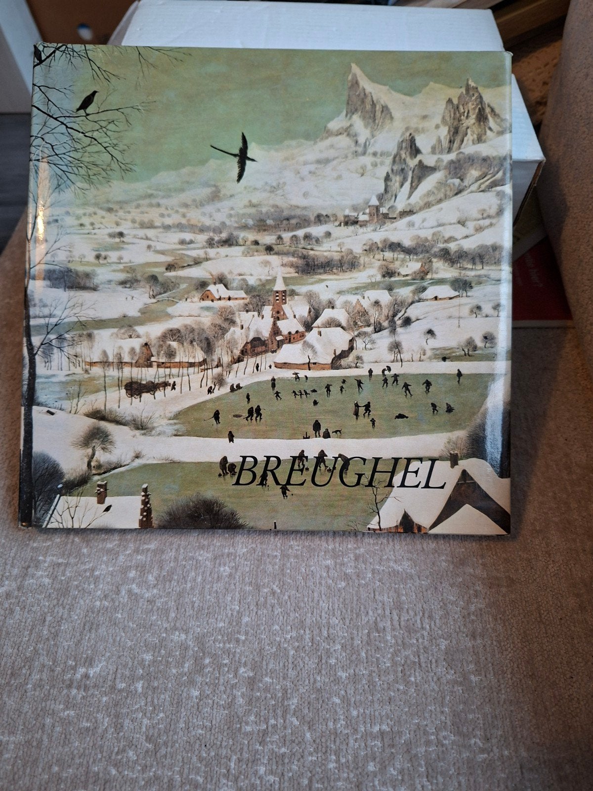 Brueghel Kunstboek - Winterlandschap met Schaatsers, Ophalen of Verzenden, Gelezen, Schilder- en Tekenkunst, Brueghel