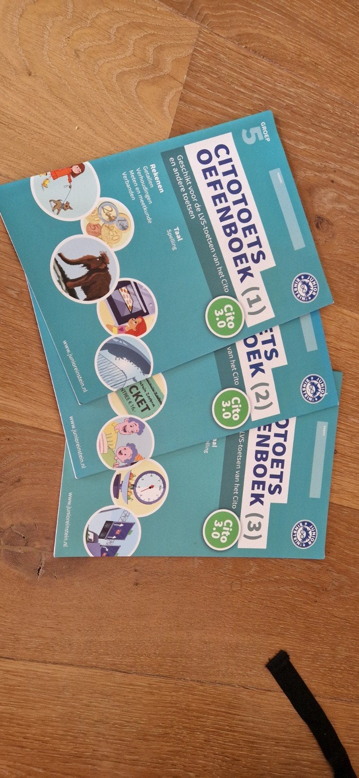 Cito Oefenboeken Groep 5 (deel 1, 2, 3) - Junior Einstein, Ophalen of Verzenden, Zo goed als nieuw, Overige niveaus, Nederlands
