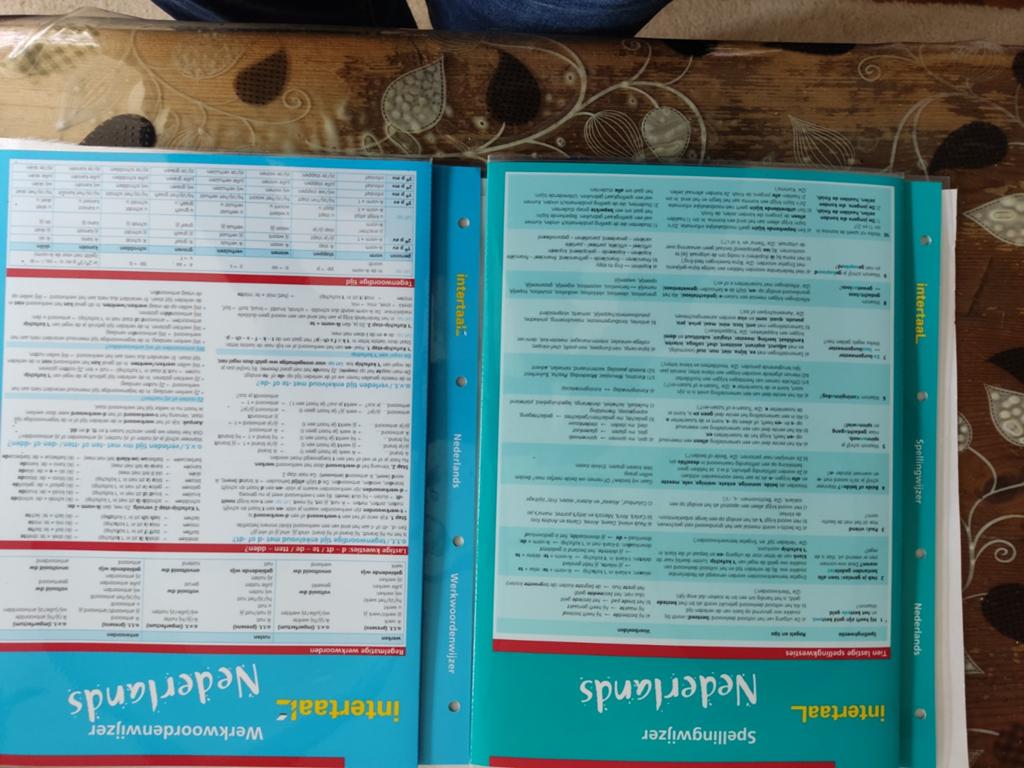 Intertaal Spellingwijzer Nederlands en Engels en werkwoorden, Ophalen of Verzenden, Beta, Zo goed als nieuw, Intertaal