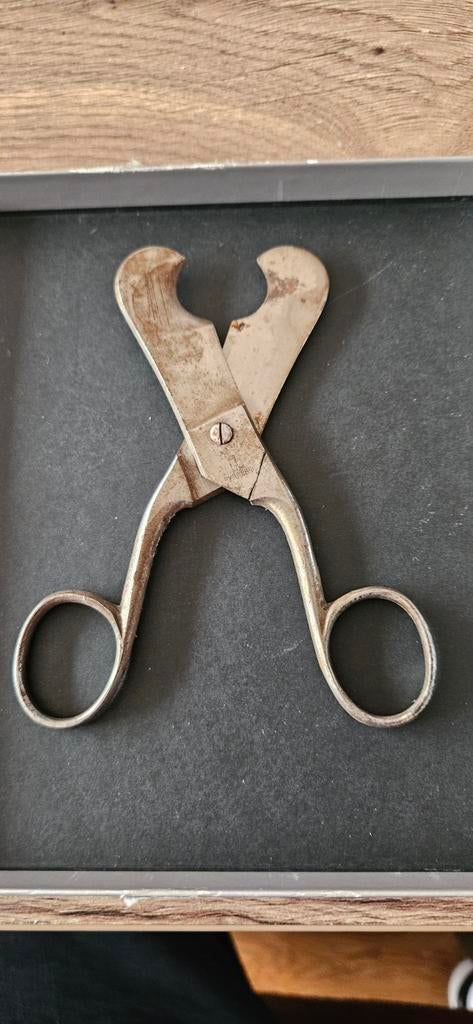 Vintage sigaren schaar van Fynwerk T.E.A.B, Verzamelen, Ophalen of Verzenden, Gebruikt, Overige typen